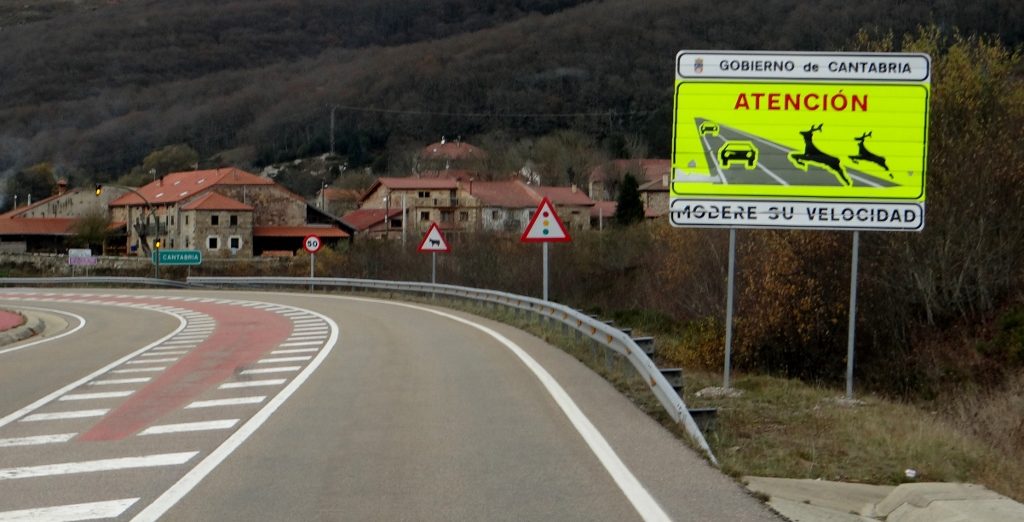 Deer on road sign, Spain