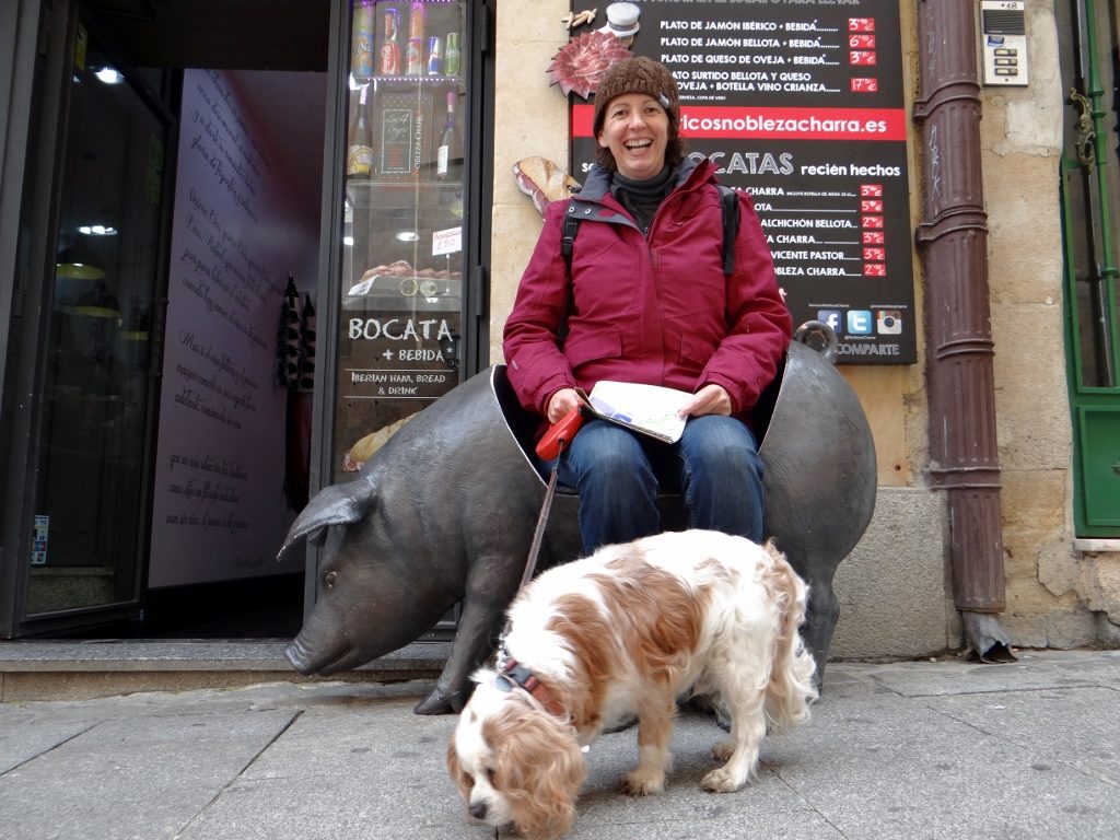 Pig chair? Oh yes. Stacks of shops selling mountain ham here.