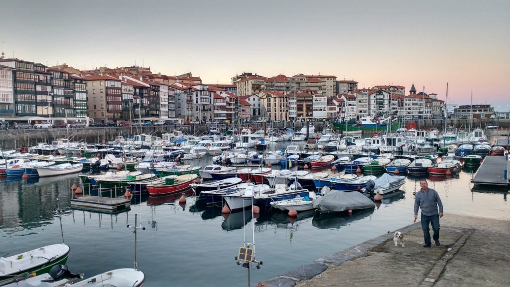 Pleasure boats in the Lekeitio marina