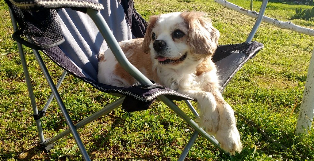 Charlie is, as ever, enjoying himself