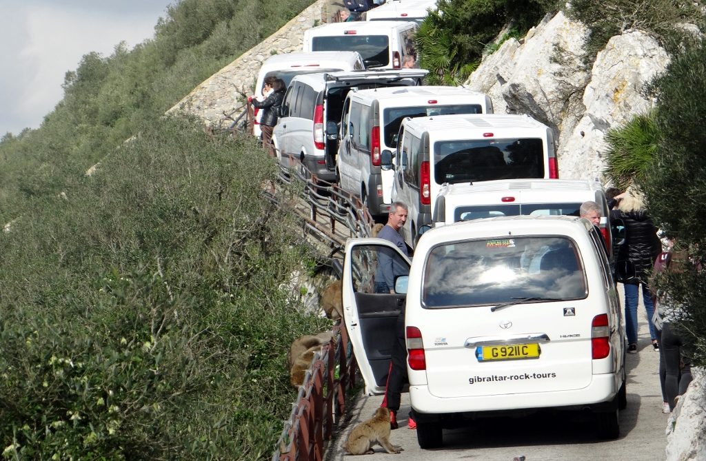 Gridlock-man! Mini buses offloading punters at Monkey Central