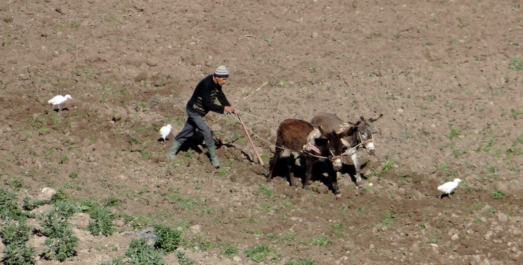 The incredible and humbling sight of a man working the soil