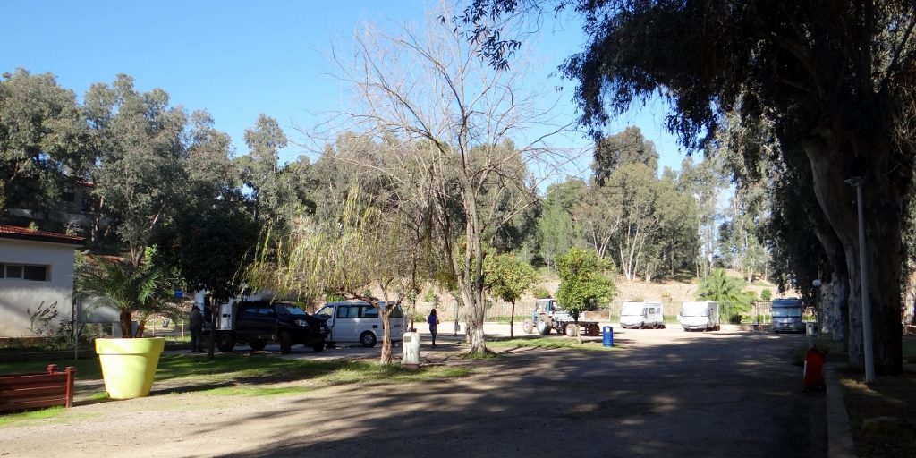 Trees and sunshine at Diamant Vert. There's a water park behind us and, just out the main gates and to the left, there's a wooded area where families are sat in the shade taking green tea