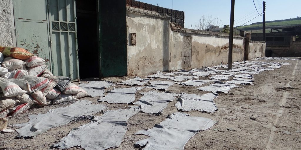 Leather is laid out all over the city to dry