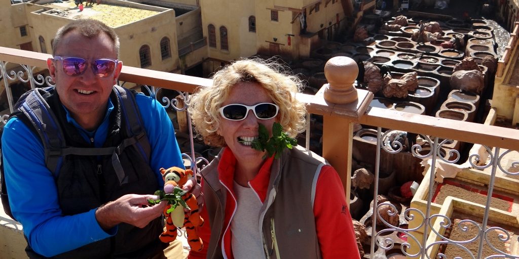 Phil and Jules using mint to prevent Tigger's nose from over heating