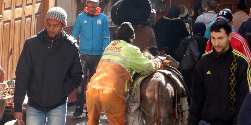 A somewhat out-of-control donkey?