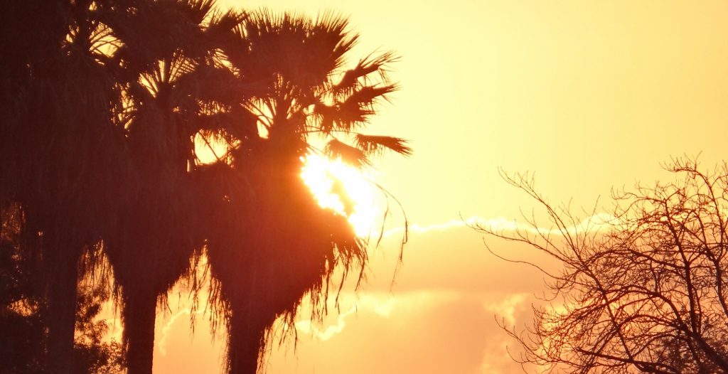 Sunset over Fes