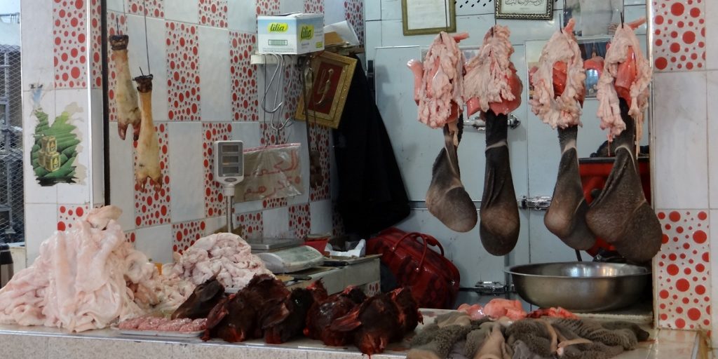 Animal parts, some of which I just couldn't identify