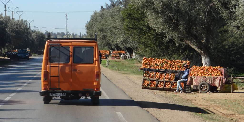 Earlier in the drive we followed this van, which had 3 cows in the back