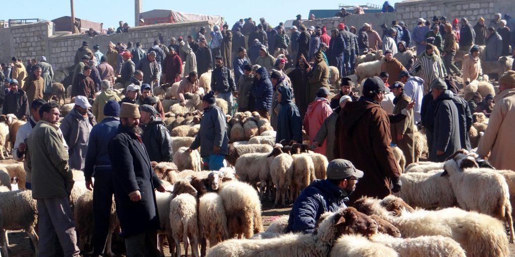 Berber Market Azrou Morocco