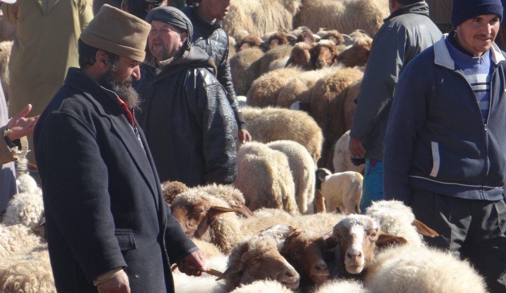 Azrou Market, Morocco