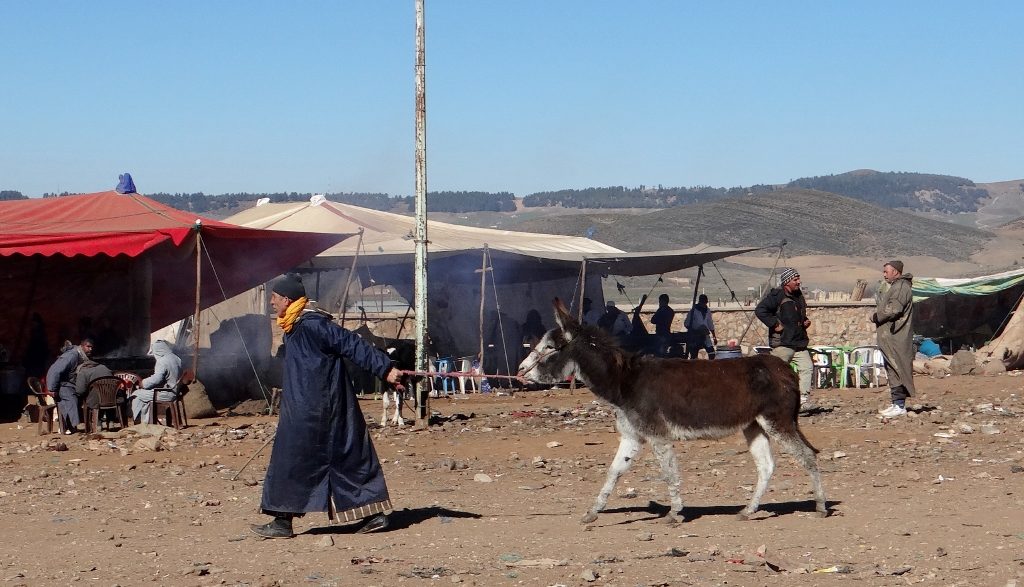 Azrou Market Morocco