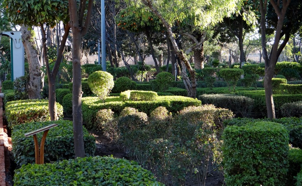 The Maroc Telecom-sponsored cyber gardens near the parking here in Marrakech