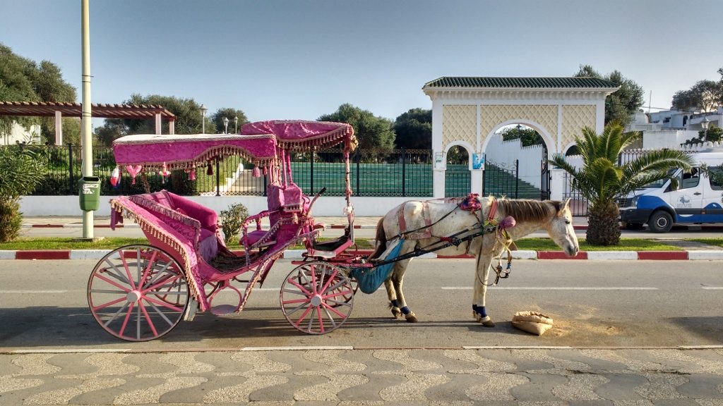 A traditional caleche in Assilah, Morocco