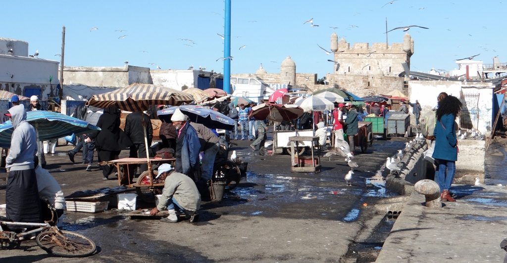 Buying fish at the port? Bring a nose peg. Ideally squint a bit.