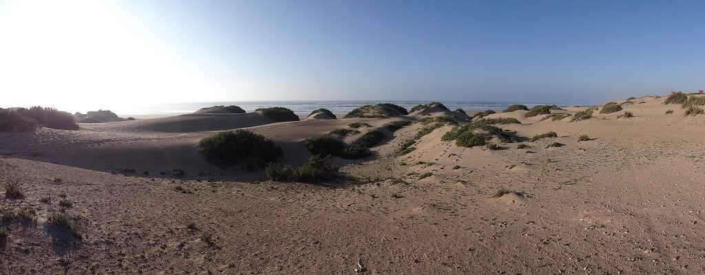 Dunes by the Massa River