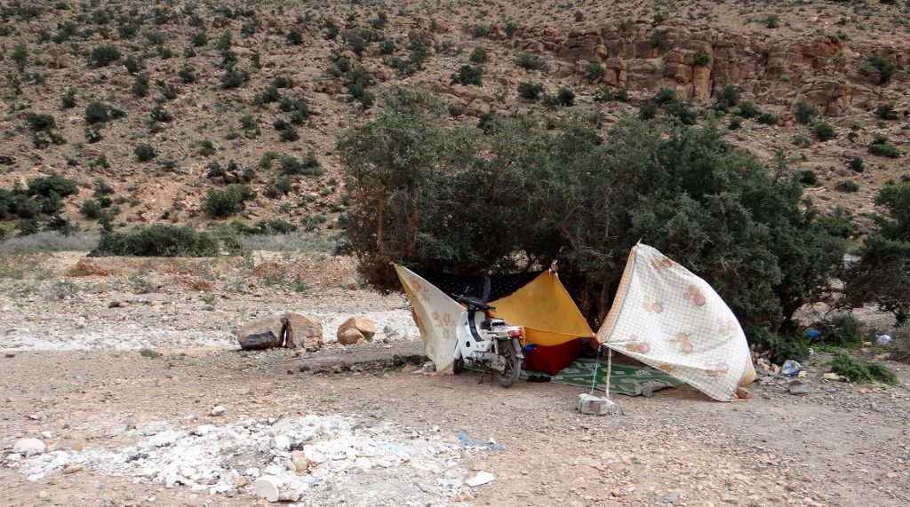 Families took Sunday picnics on the roadside