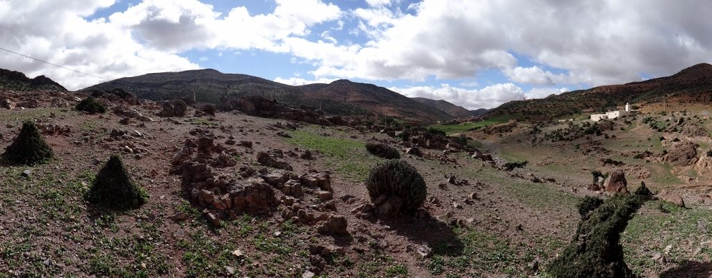 The arid landscape around us