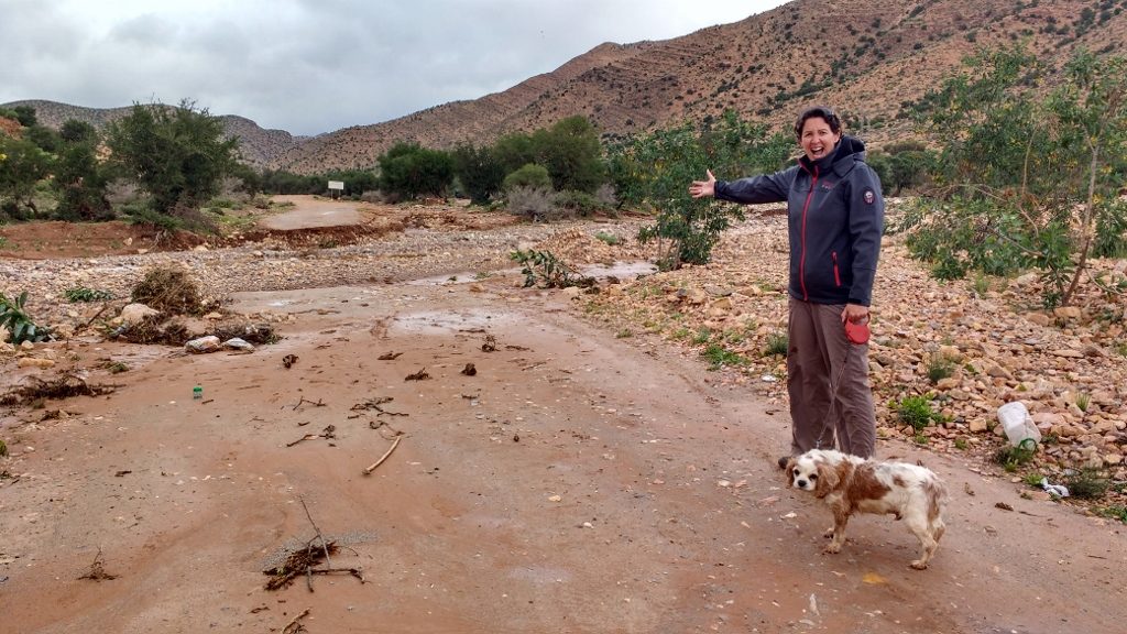No-one's hurt, so we're in good spirits in here. Peter and Elaine are even more chilled about the whole thing as we are