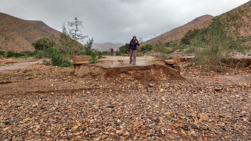 The road back to Abaynou