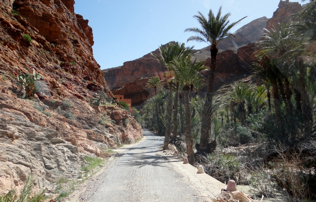 The entrance to the oasis