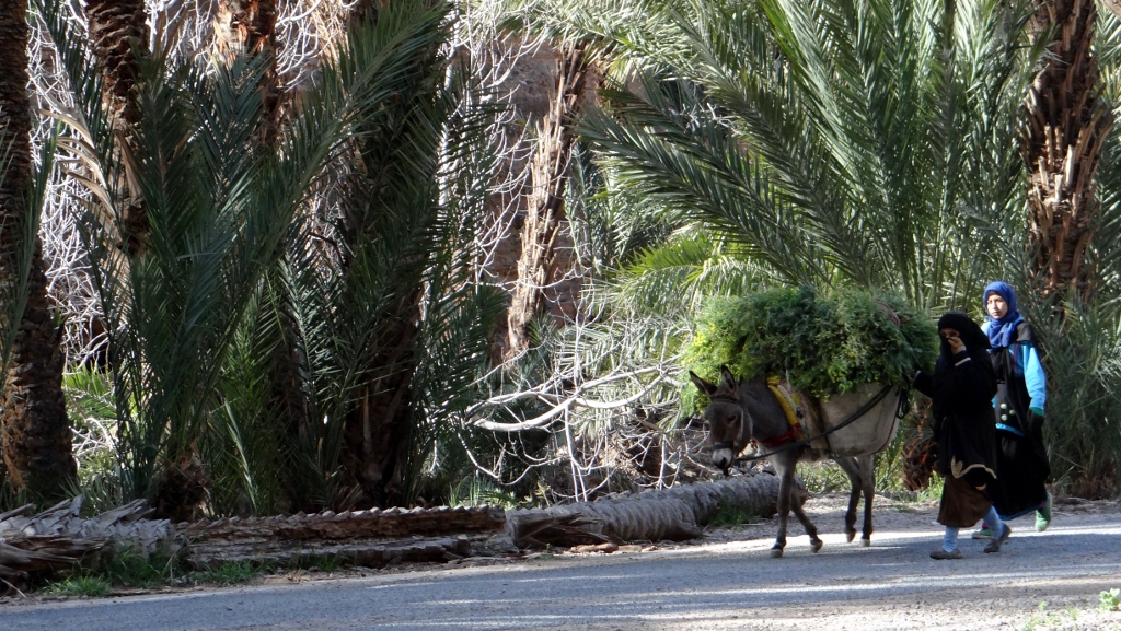 Ladies passing us earlier on - apparently lucky ones who had a donkey to carry stuff for them
