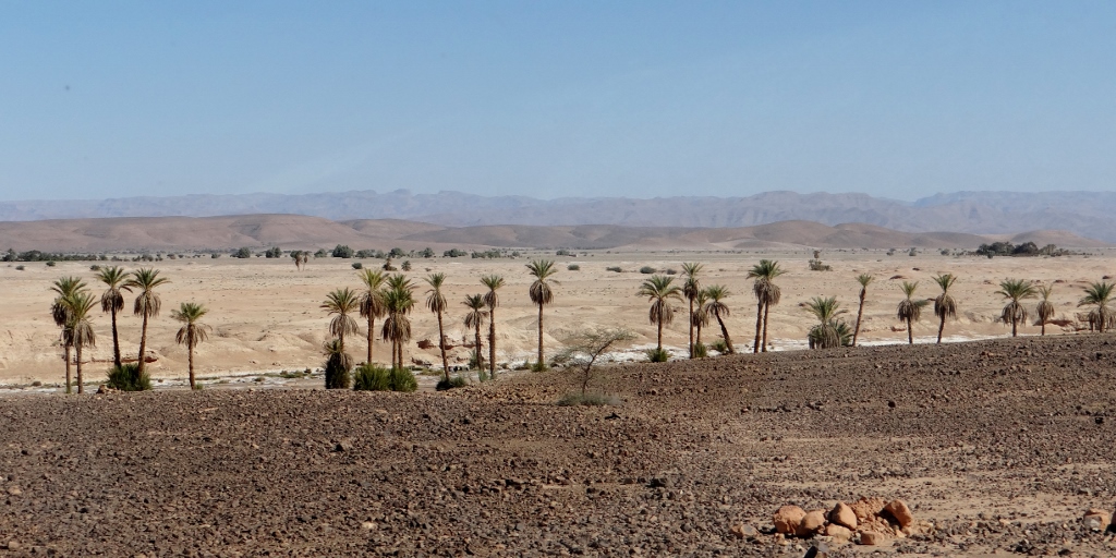 Not sand behind the palms but mud. Miles of mud, maybe 15m deep, cut into a maze by a currently-absent flow of water