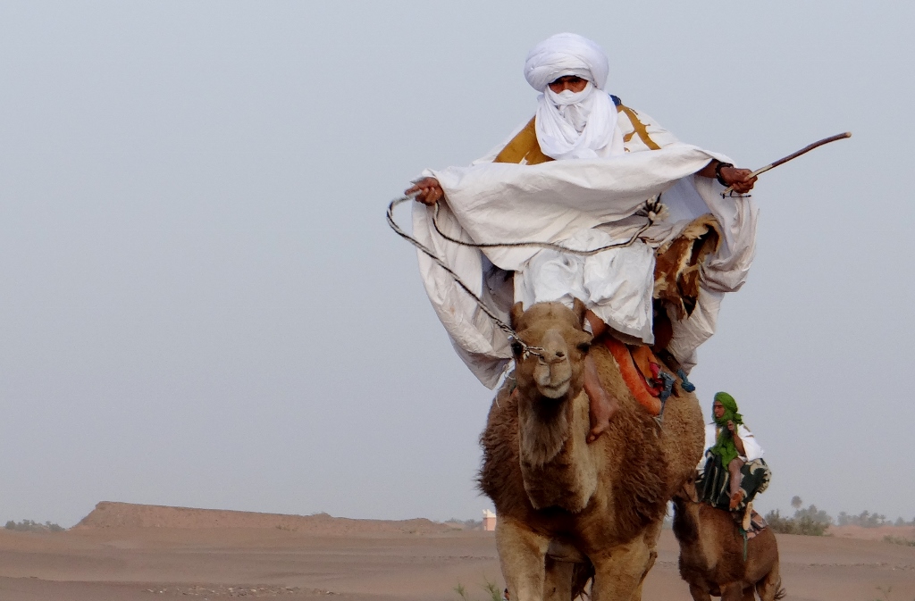 Right, they're getting a bit close now, leg it!