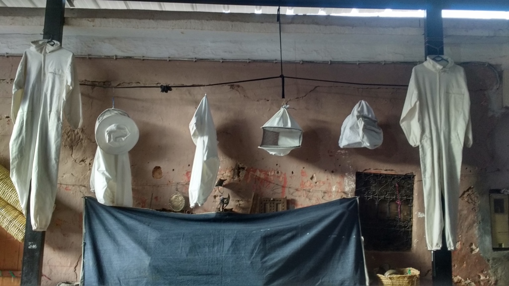 Bee keeping gear for sale in Tafraoute