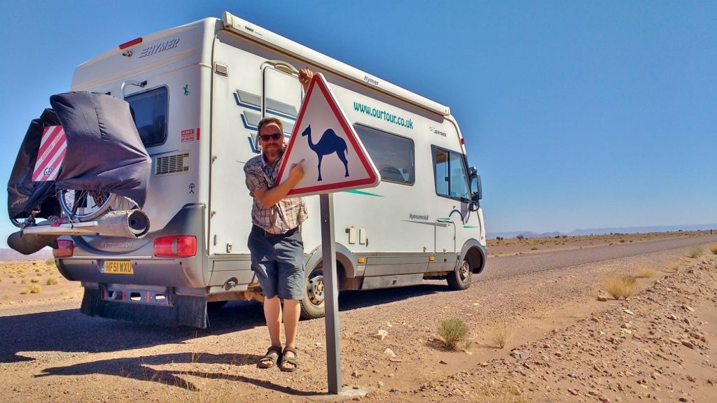 camels on the road Morocco