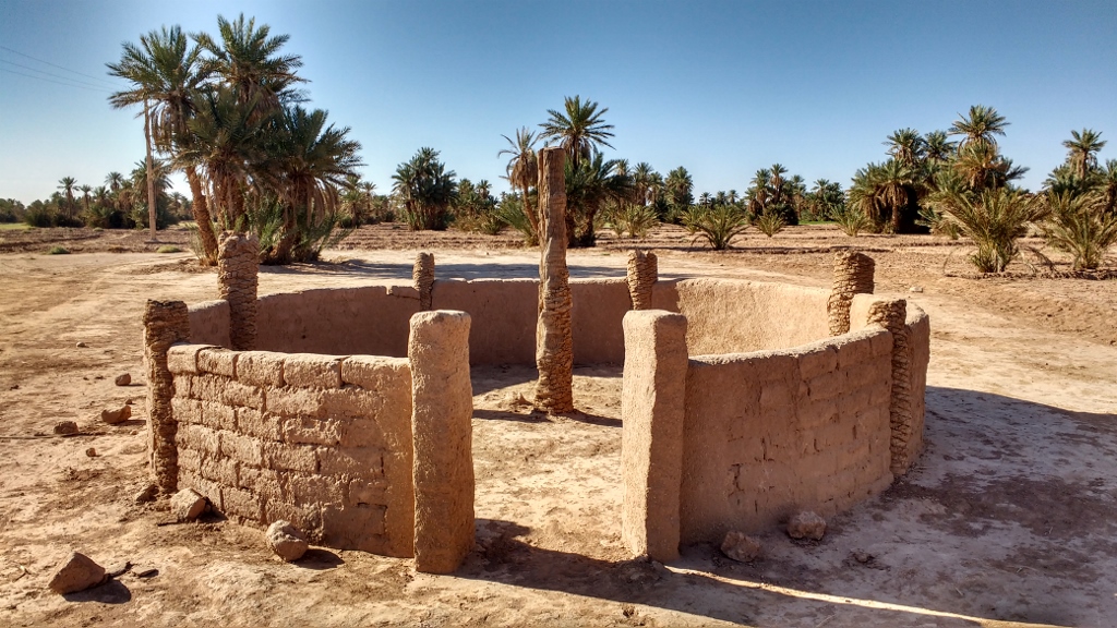 I don't know what this is - a coral perhaps?