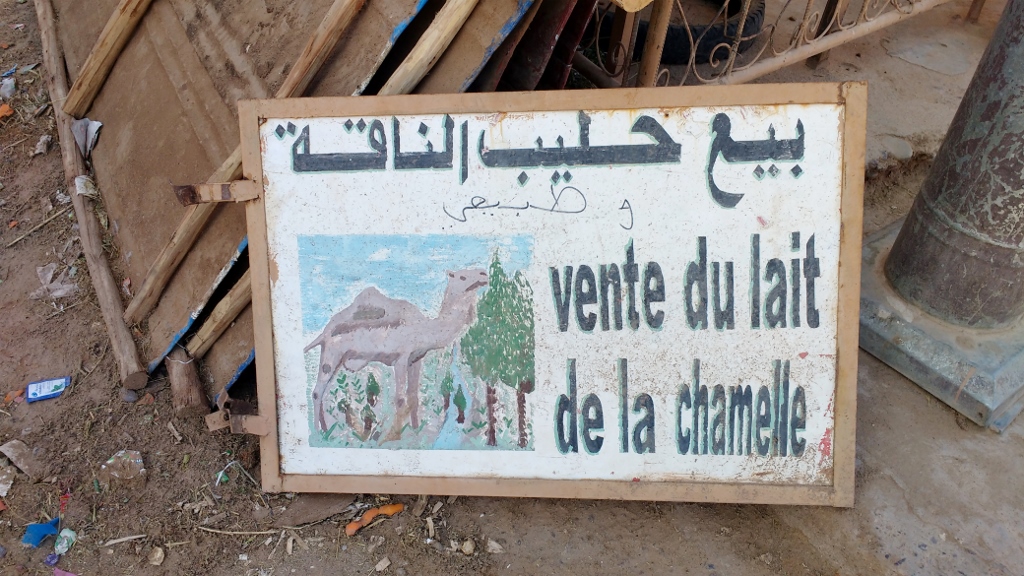 Ju tried to buy some camel milk, but they'd run out