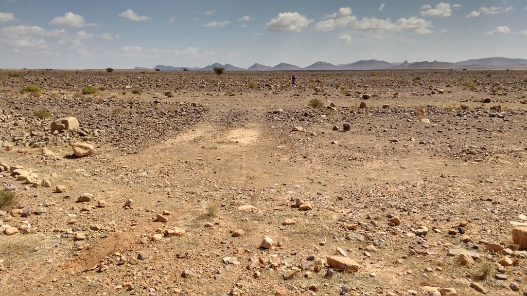 Ju fossil hunting on the N12