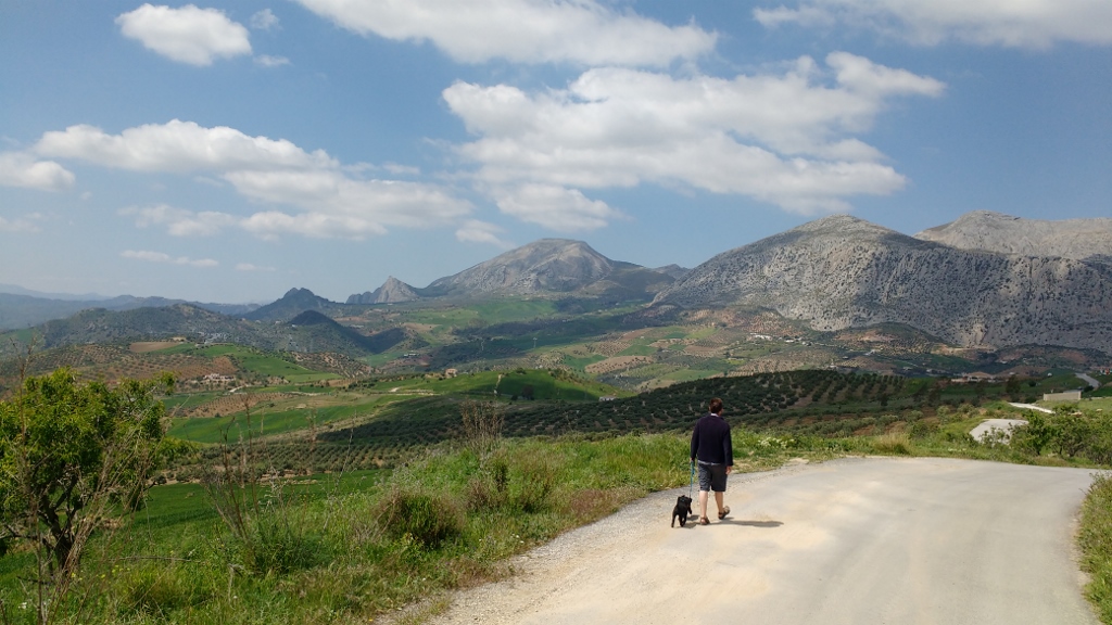 Walking the dogs on the road by the villa