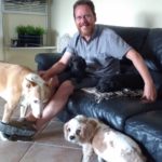 I have my own pack of dogs! They all get on, and wander about easily on the plot, so they're no trouble