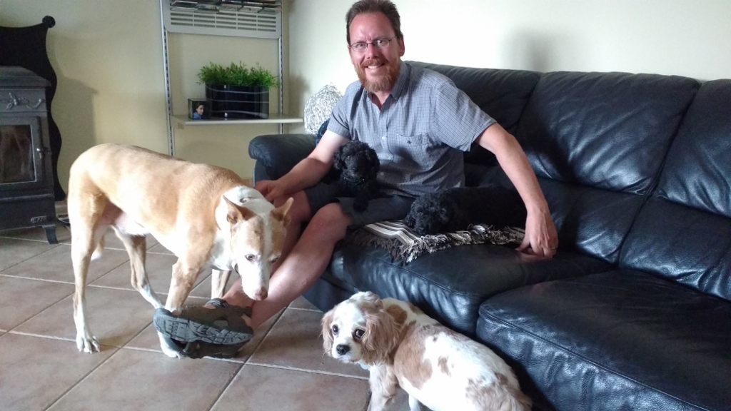 I have my own pack of dogs! They all get on, and wander about easily on the plot, so they're no trouble