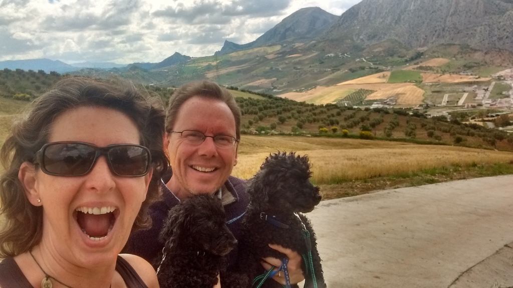 One last poodle walk