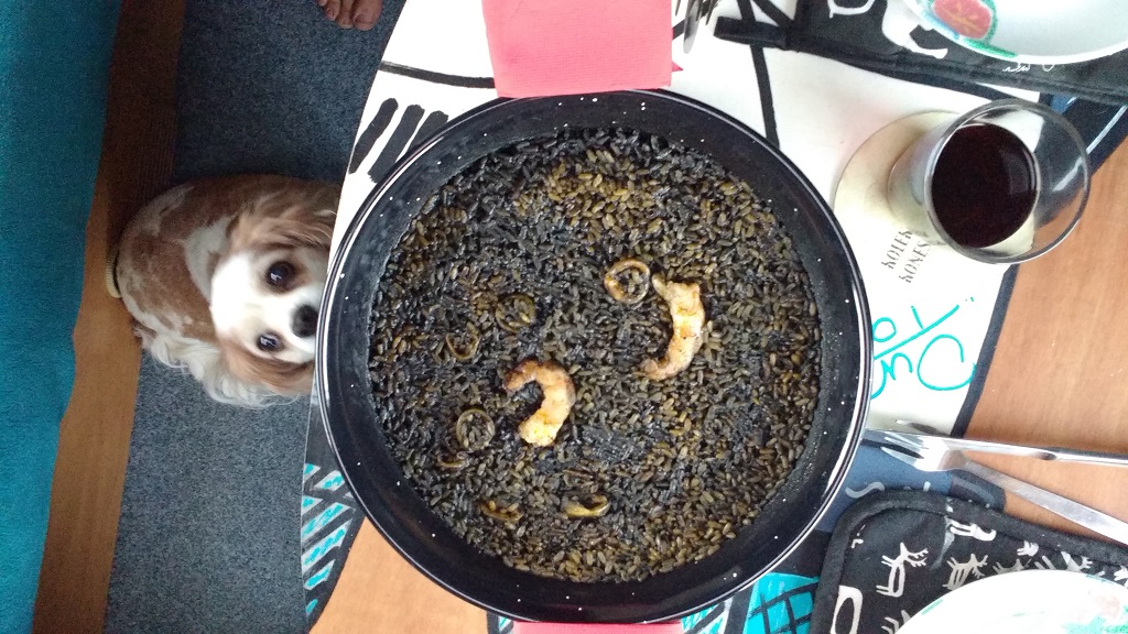 We enjoyed a black rice paella last night on the campsite.