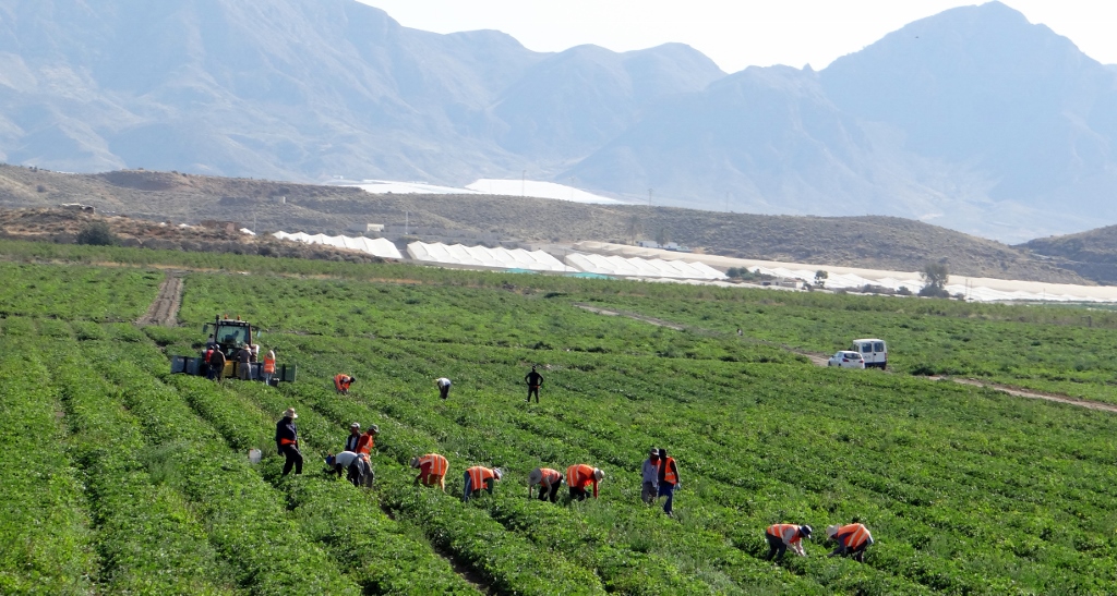 Crop pickers in the fields on our route north.