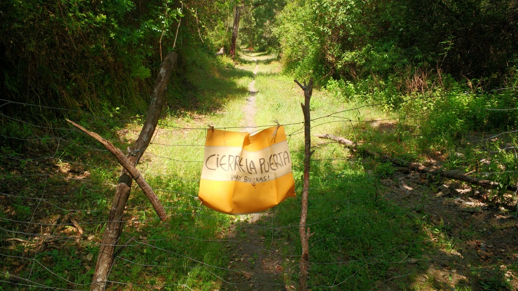 There are some wonderful walks around the hills, old mule or foot tracks for moving goods between villages and down to the coast. This one had an amusing 'please close, I have donkeys' sign. The gate was unfathomable and I climbed between barbed wire to get past