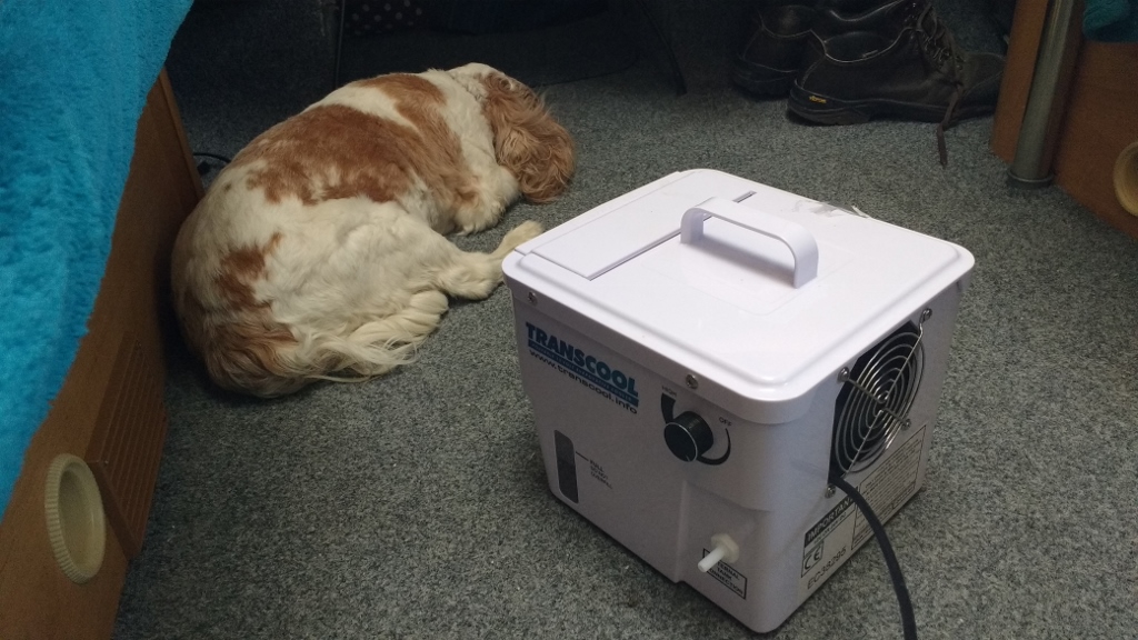 Charlie enjoying a cool breeze from Richard's transcool box