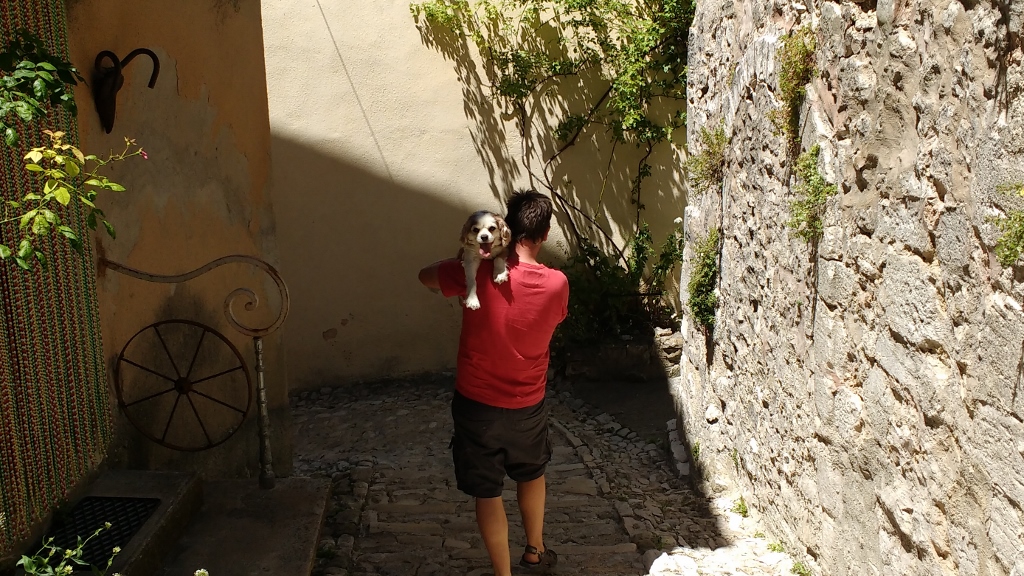 We often find ourselves carrying the wee man these days. We do make him walk to keep his legs turning over, but even with medication he clearly struggles to walk sometimes