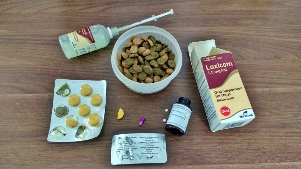 Dog arthritis medication