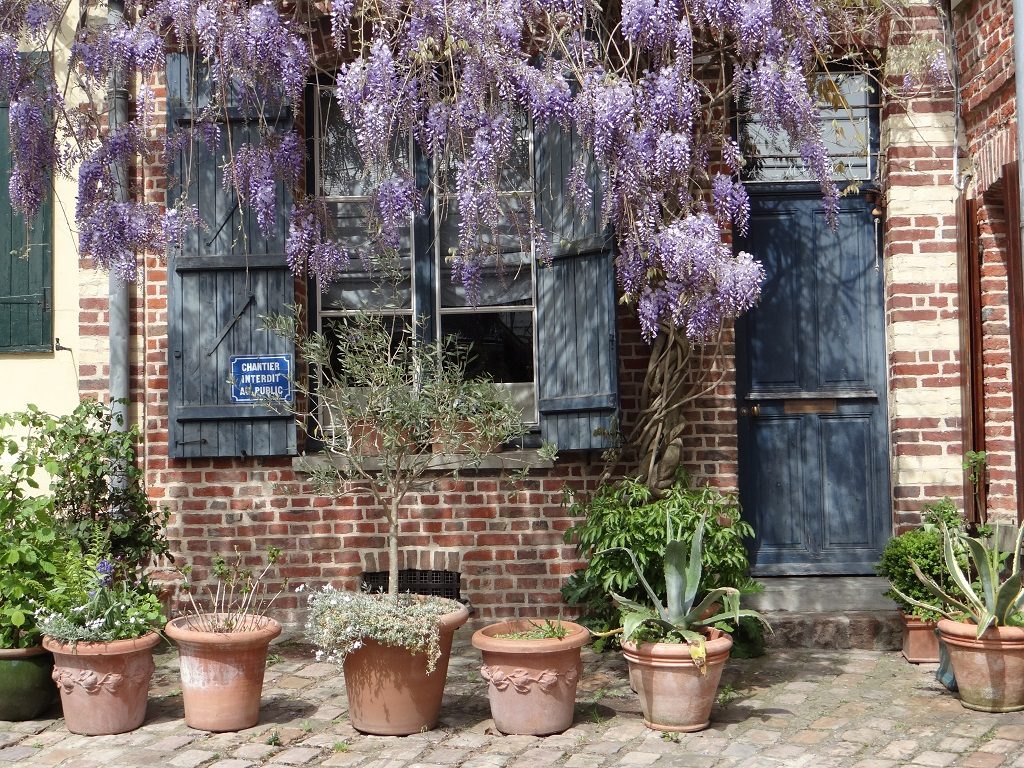 We're seeing some sunshine as spring arrives. It's a good to have warmed bones again.