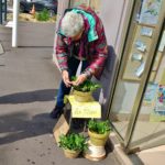 Flower Seller on first of May in France