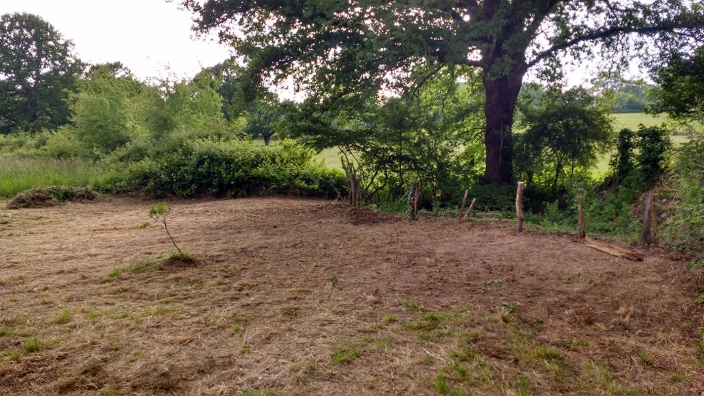 The 'source' when we'd finished clearing it.