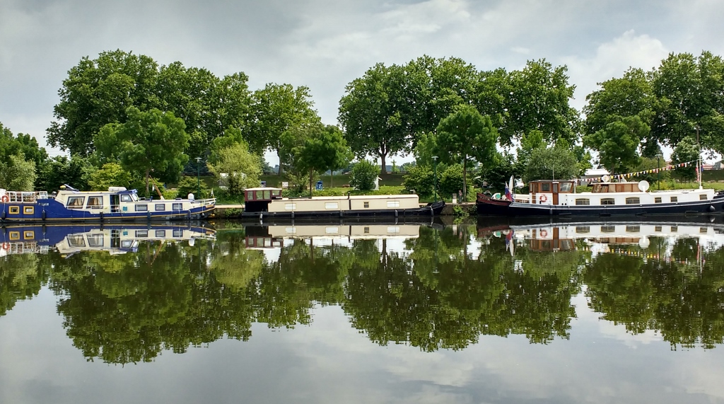 The Roanne Motorhome Aire - just visible through the bushes!