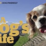 Motor Caravanner June 2018