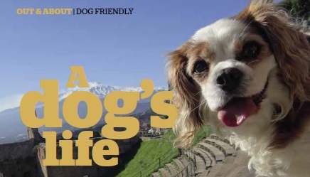 Motor Caravanner June 2018