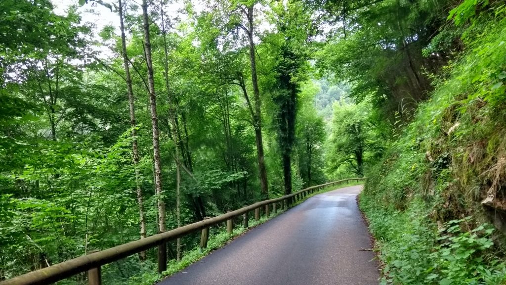 Most of the Gorges du Nan looks like this